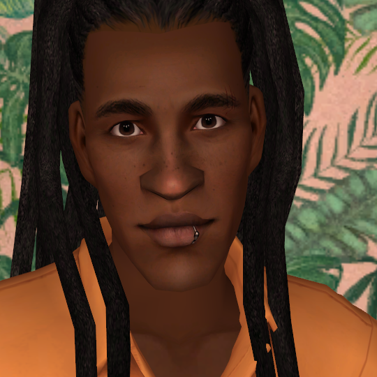 this is ade, he is a sim from the sims 2, he is the first sim here